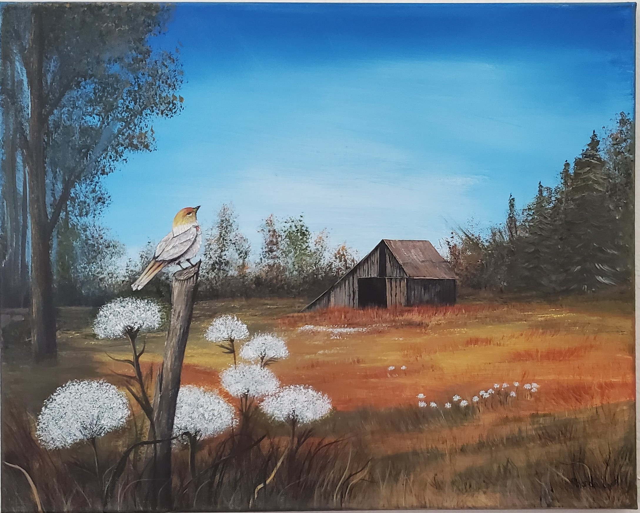 Acrylic painting of a bird perched in a rustic meadow with an old barn